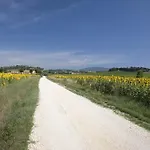 Le Fiabe 度假村 努马纳